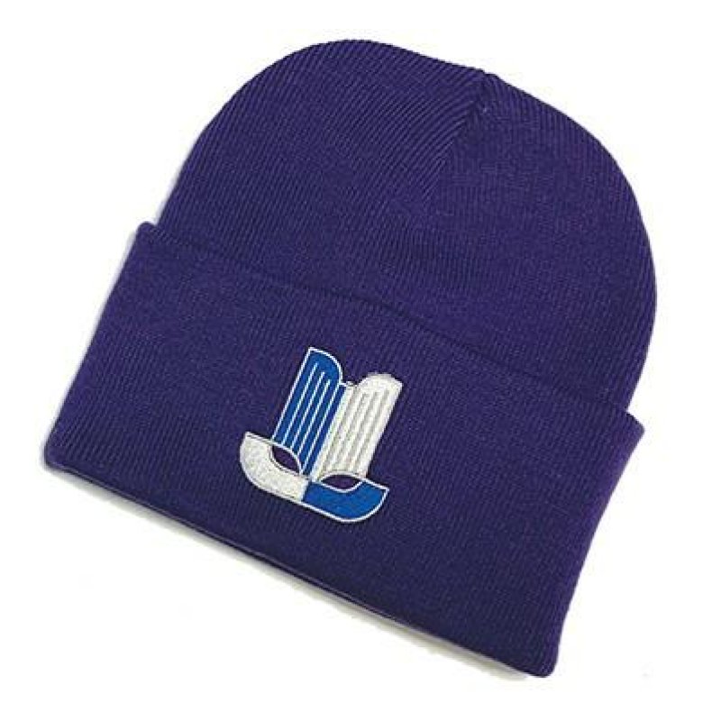BB45PUR BEANIE HAT PURPLE The Triumph Sports Six Club